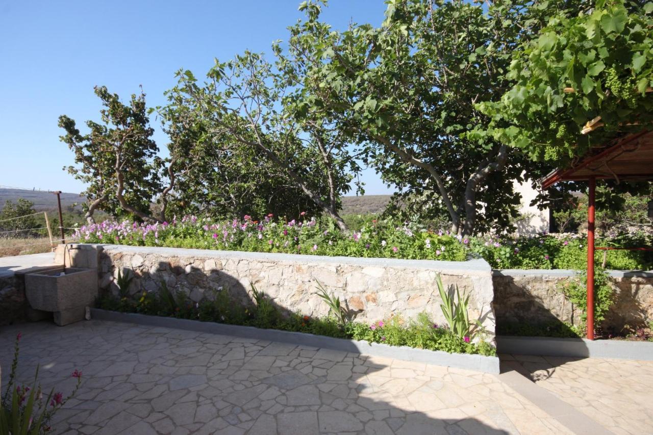 Apartments With Wifi Stivan, Cres - 382 外观 照片